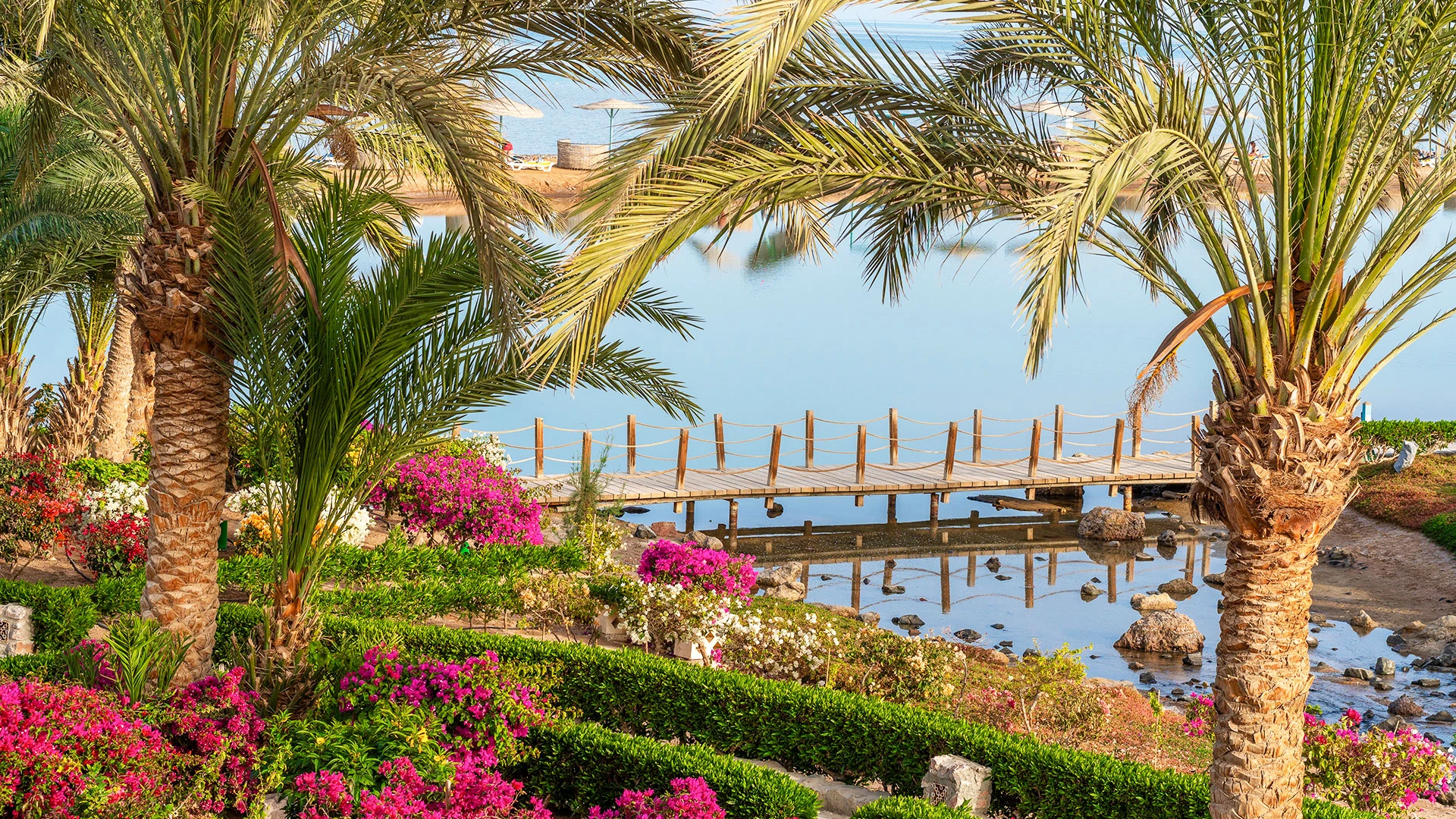 MOVENPICK RESORT & SPA EL GOUNA Чартър до Хургада от София [SOF] 2026 – 14