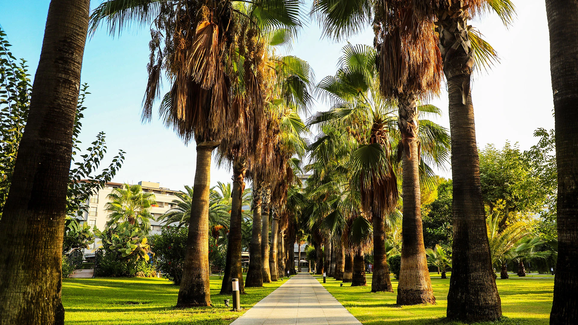 Miramare Beach Hotel – 82