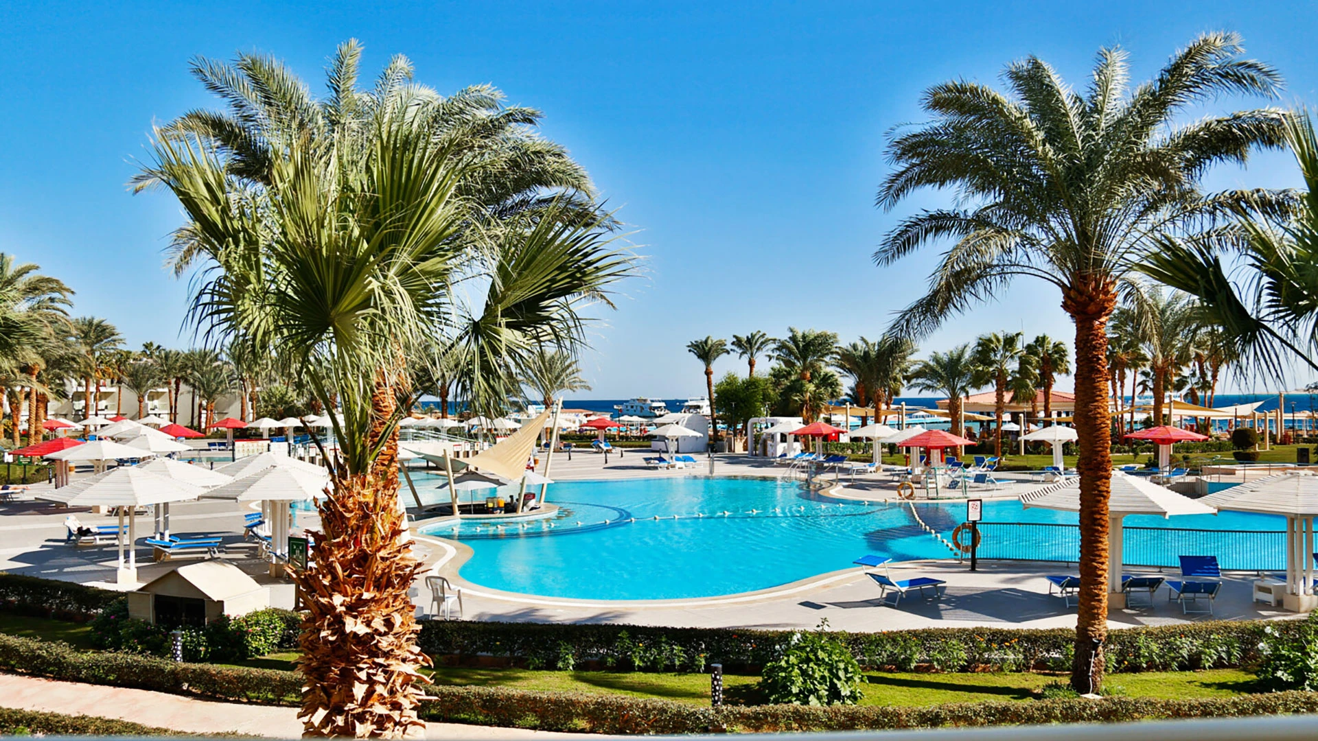 AMARINA ABU SOMA RESORT & AQUA PARK Чартър до Хургада от София [SOF] 2026 – 5