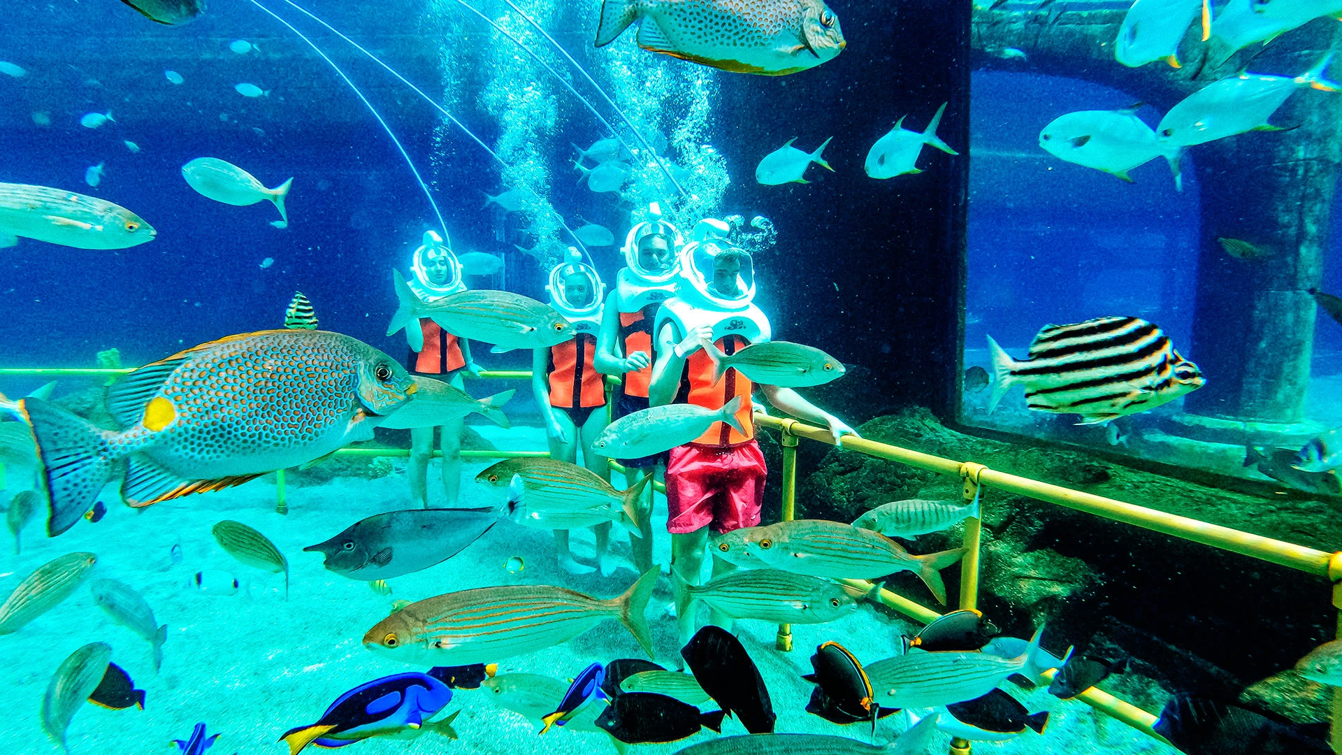 THE LAND OF LEGENDS NICKELODEON HOTEL Нова Година в Анталия с чартър от София – 252