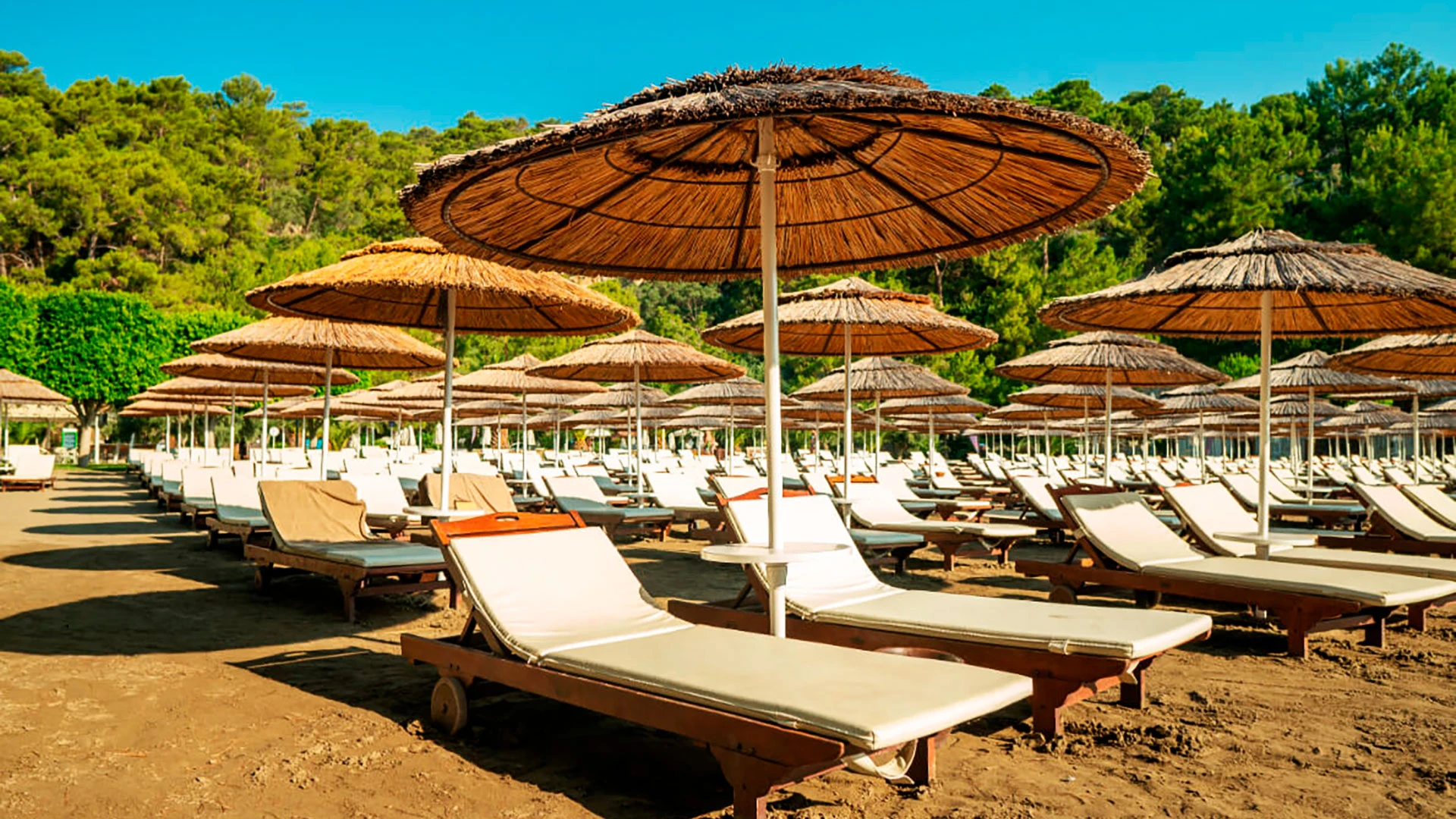 Tui Blue Seno – 29