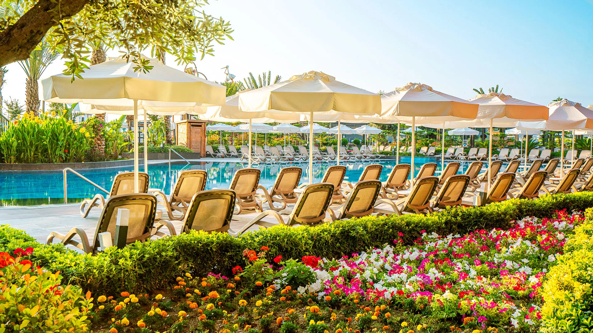KIRMAN CALYPTUS RESORT & SPA Чартър до Анталия от Бургас 2026 [BOJ] – 12
