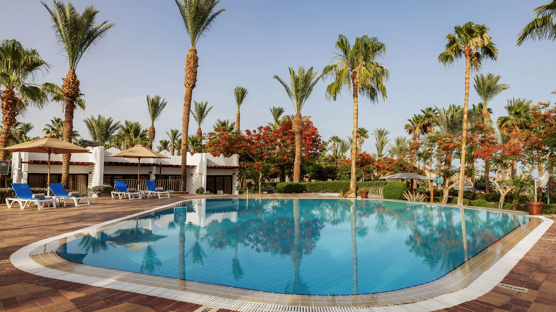 JAZ FAYROUZ RESORT Чартър до Шарм Ел Шейх от София 2026 [SOF] – 12