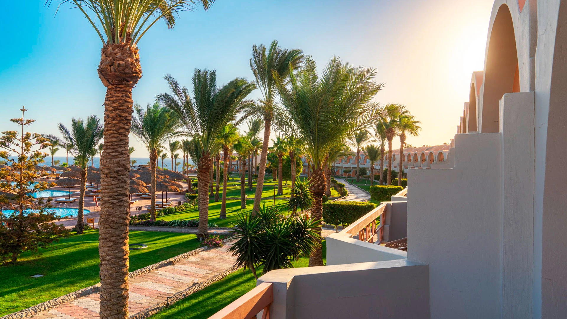 THE THREE CORNERS SEA BEACH RESORT Нова Година - Почивка в Хургада с чартър от София – 24
