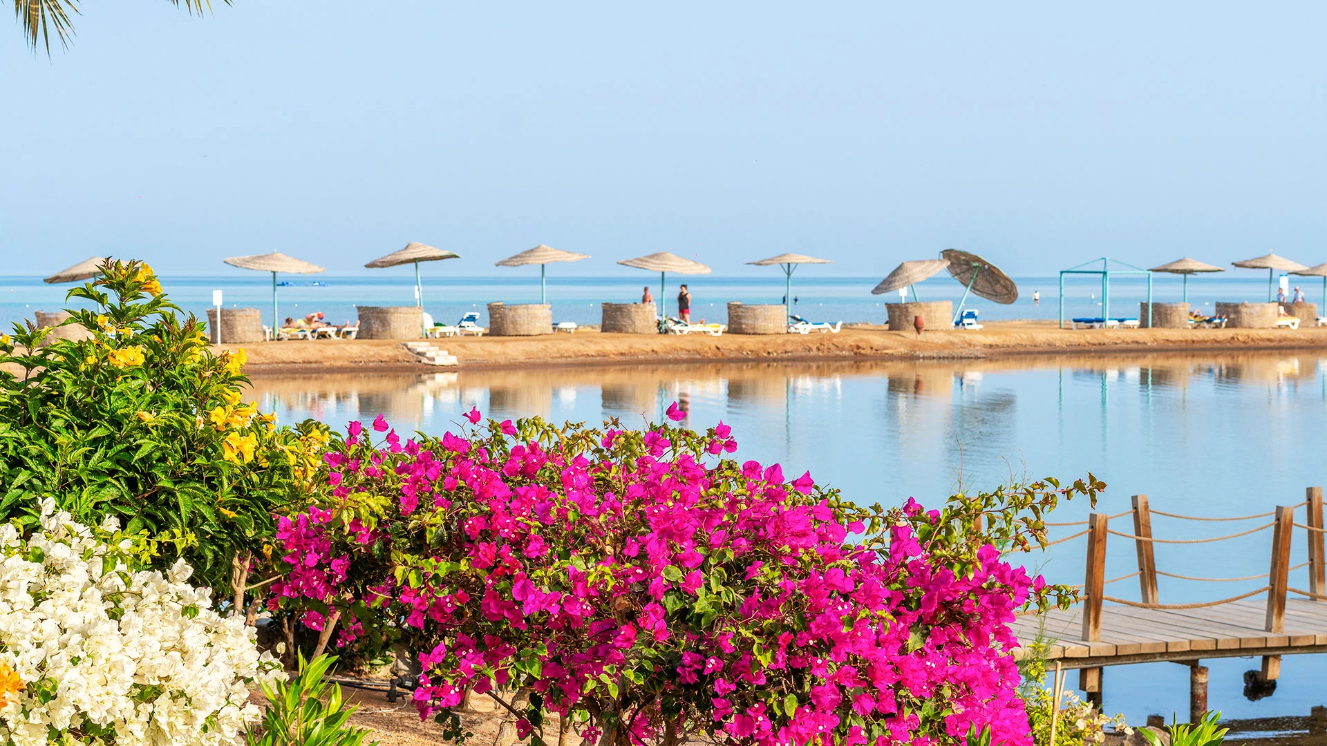 MOVENPICK RESORT & SPA EL GOUNA Чартър до Хургада от София [SOF] 2026 – 39