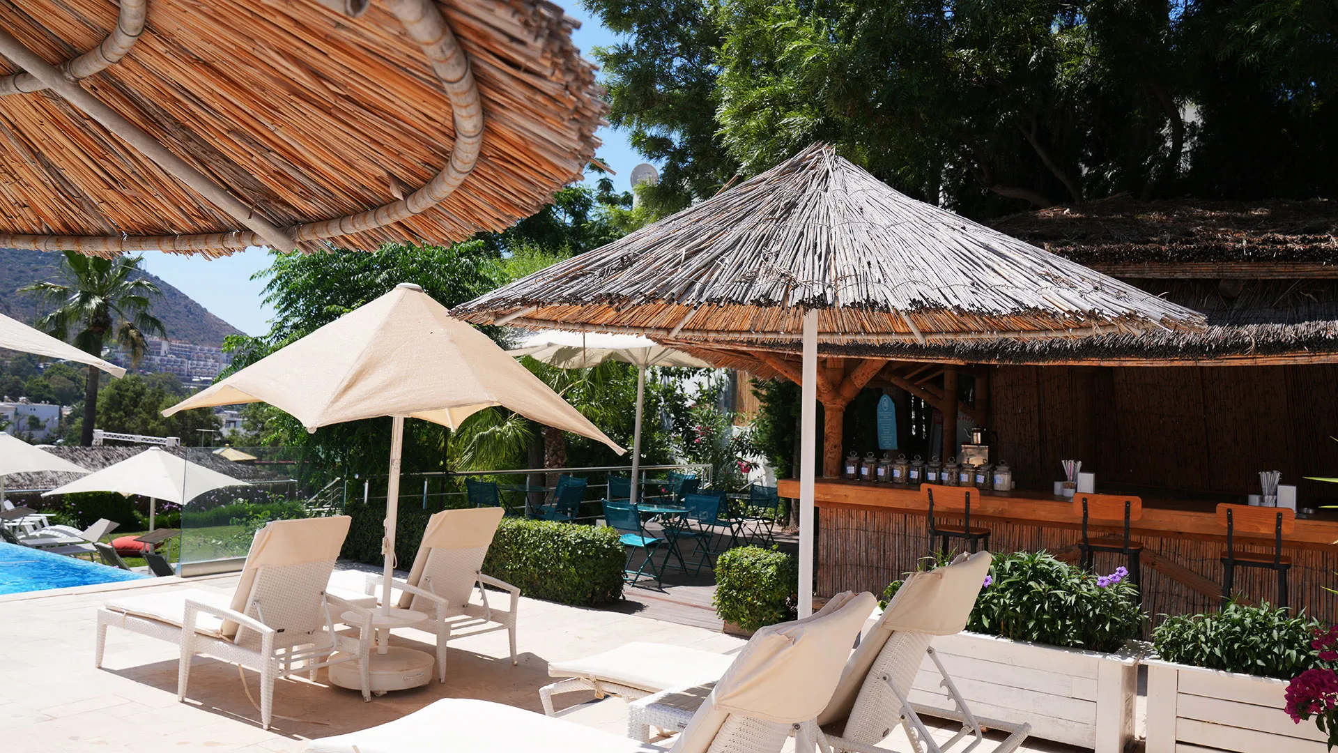 Sentido Bellazure – 15
