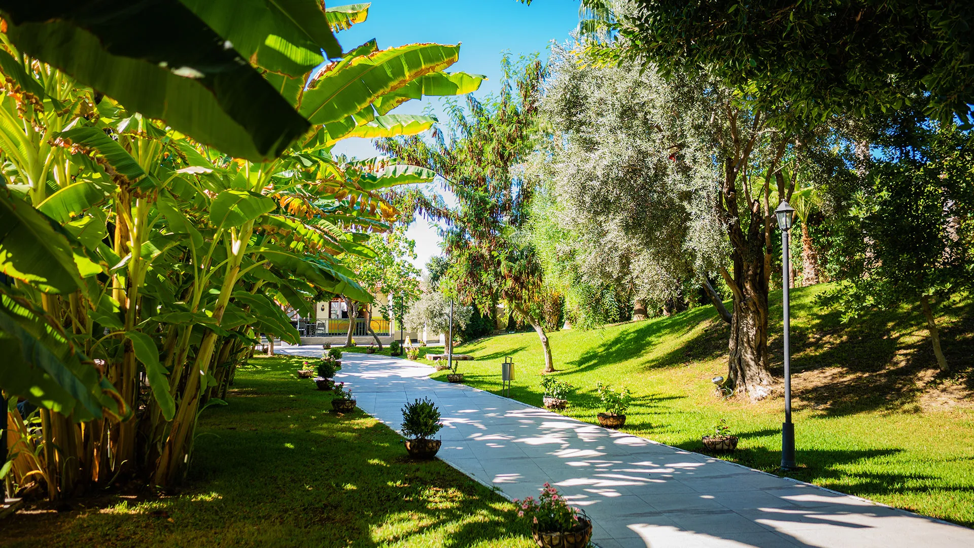 SURAL RESORT HOTEL Нова Година в Анталия с чартър от Пловдив – 24