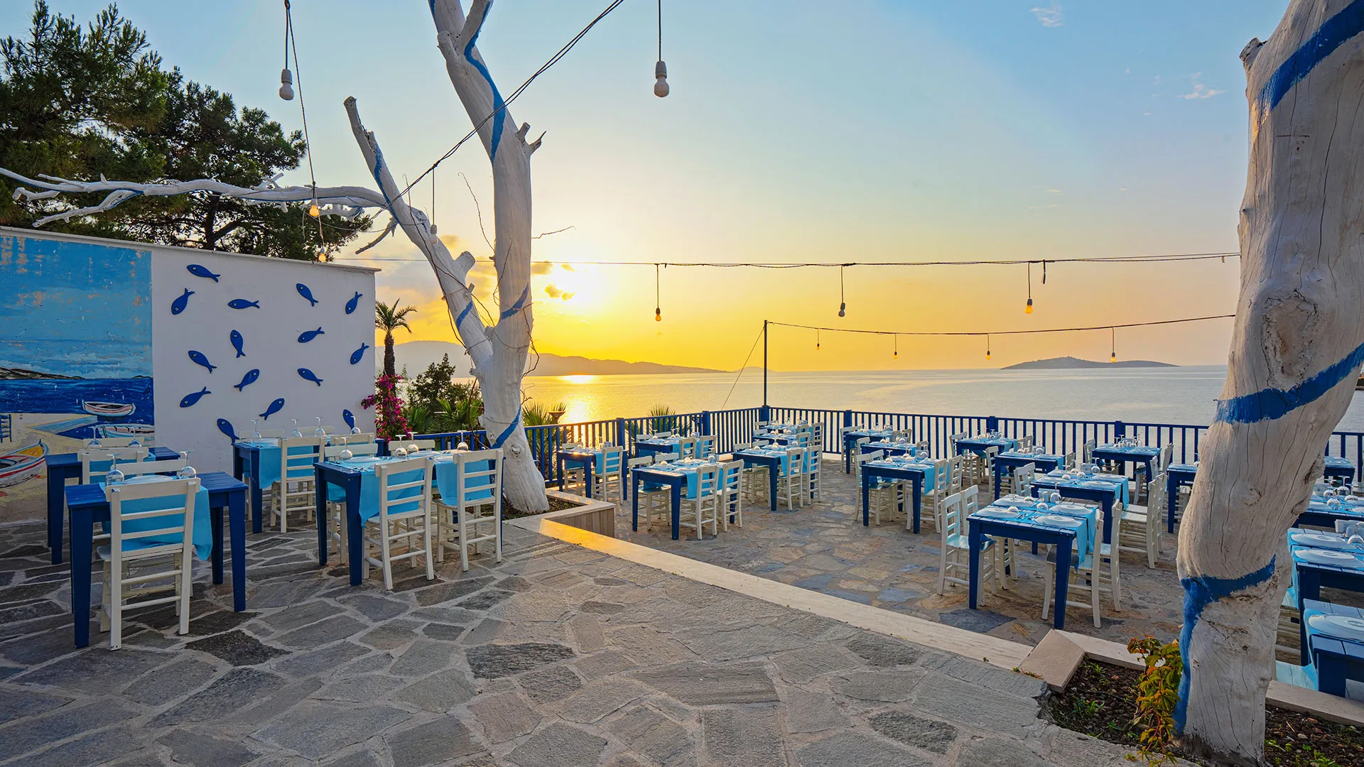 Blue Dreams Resort – 40