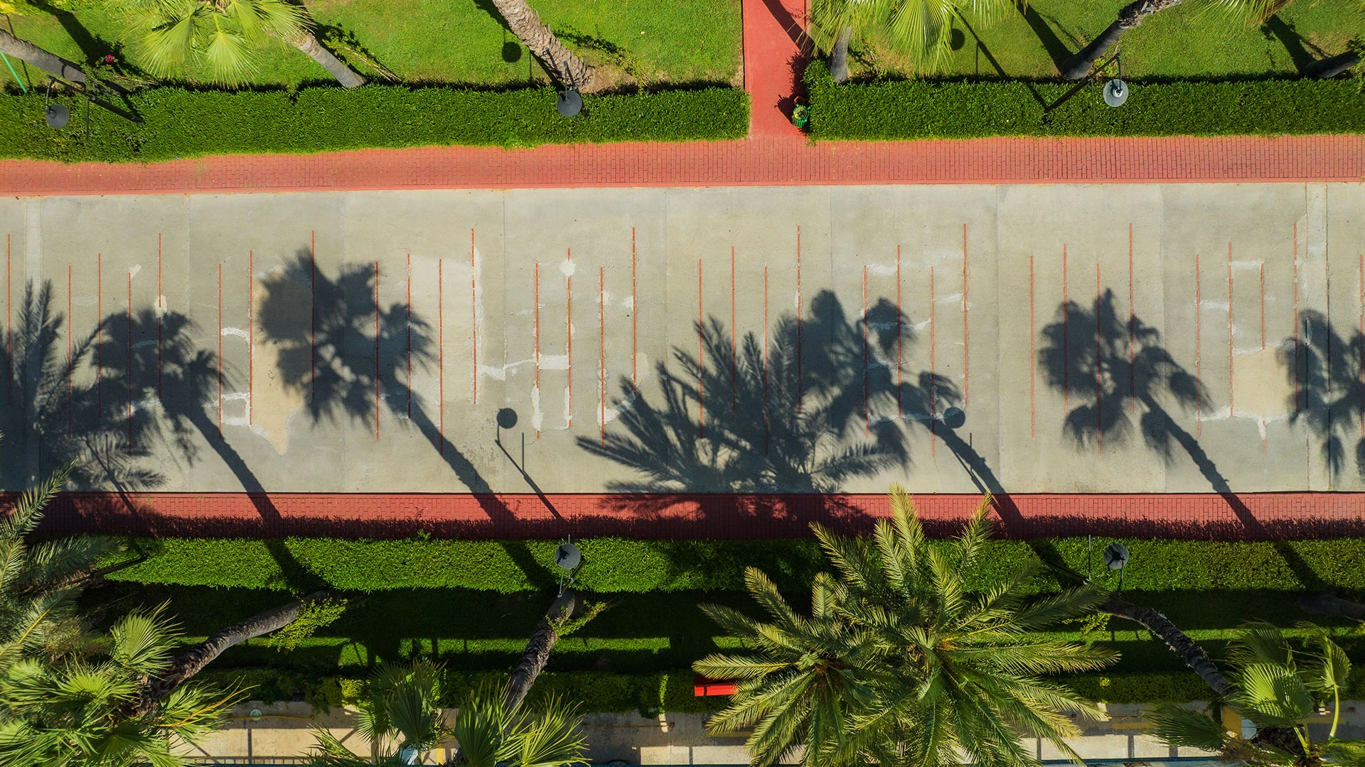 Asteria Family Resort Side (Ex Euphoria Palm) – 60