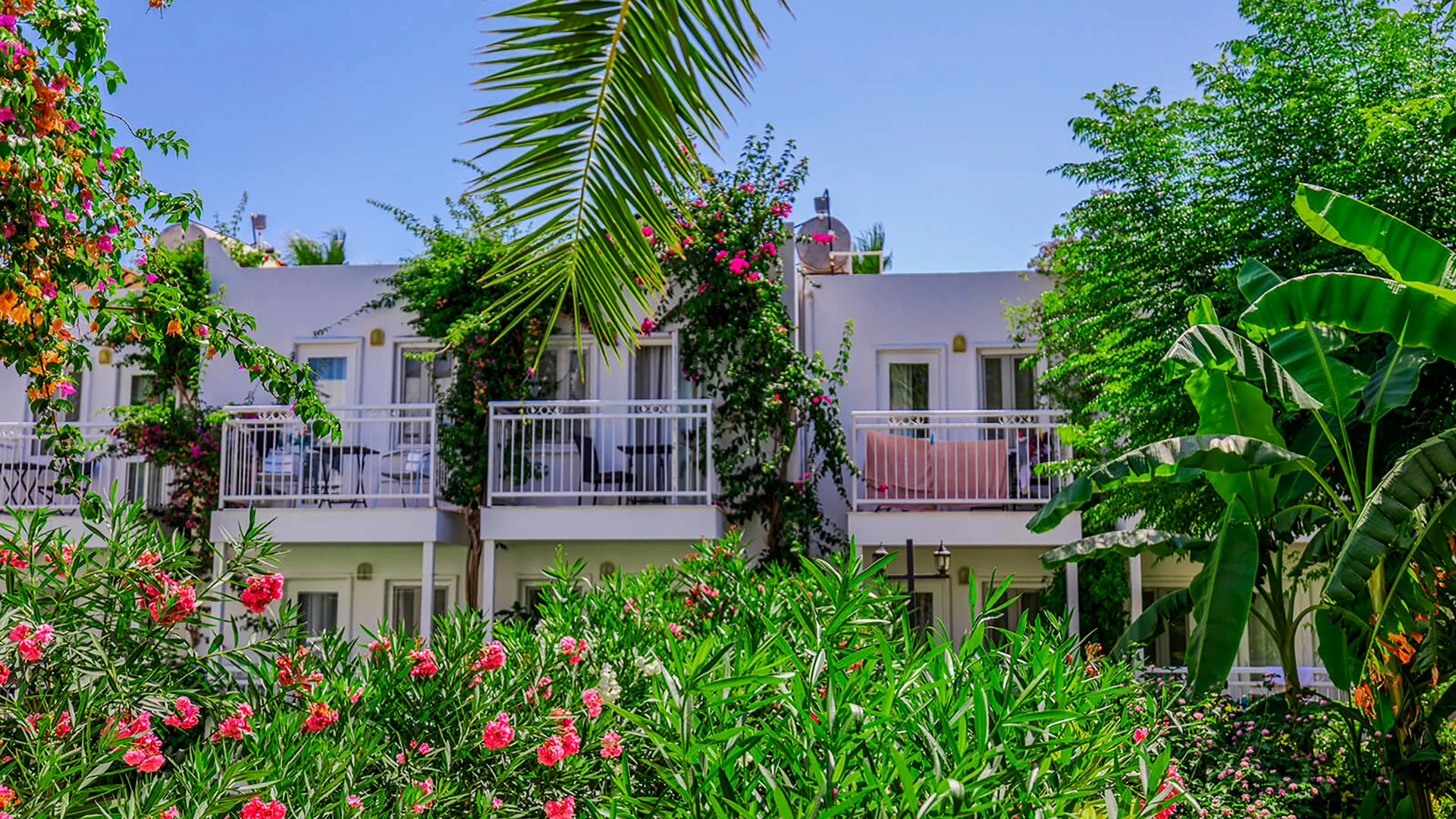 Petunya Beach Resort – 5