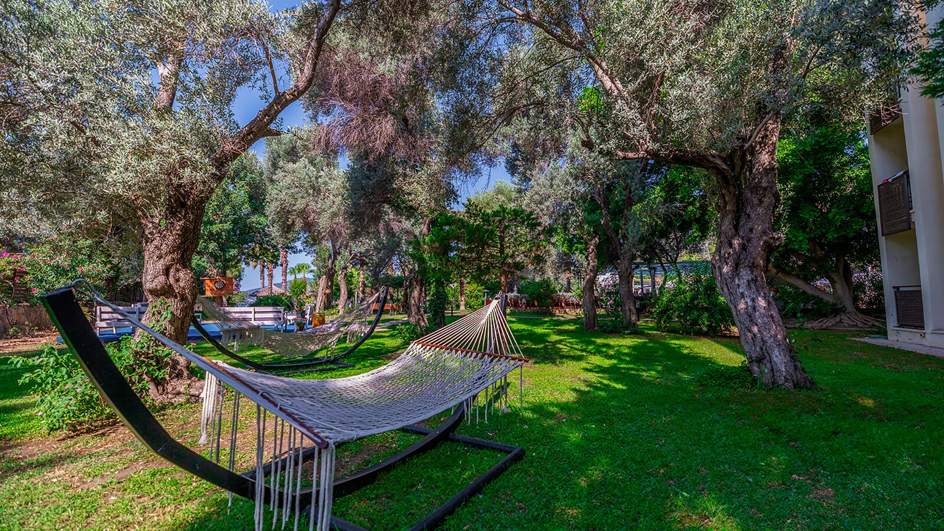 Latanya Park Resort – 16