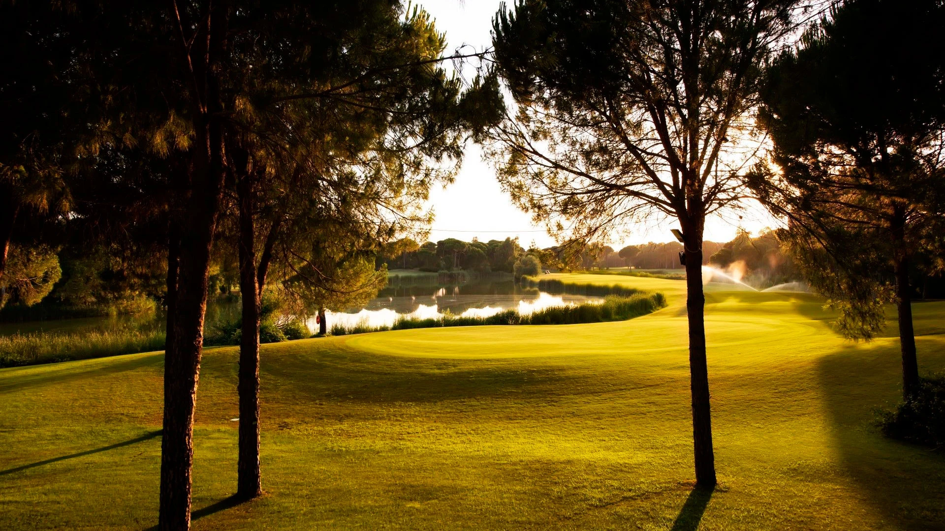 CORNELIA DIAMOND GOLF RESORT & SPA Нова Година в Анталия с чартър от Пловдив – 34