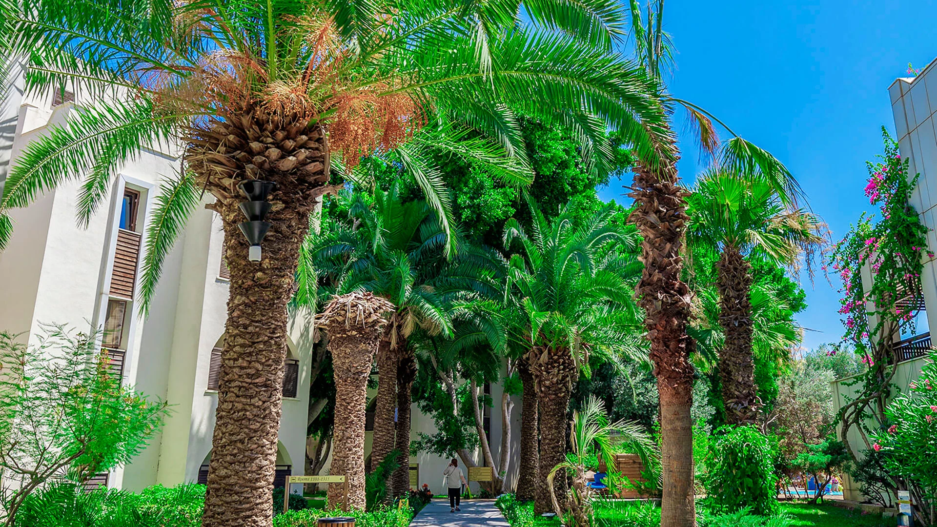 Latanya Park Resort – 9