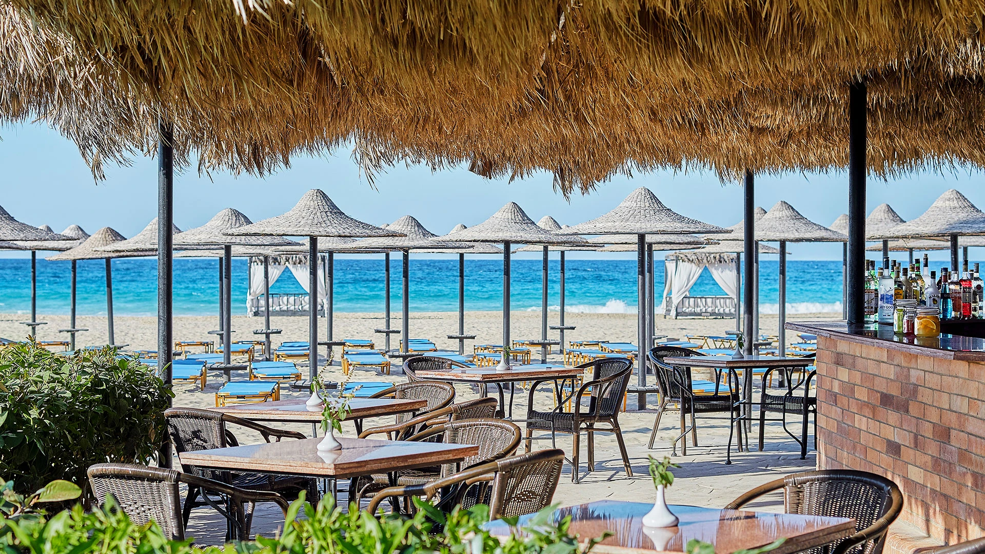 Jaz Almaza Beach Premium – Египетски Малдиви - Алмаза Бей + Кайро - с полет от София до Марса Матрух – 14