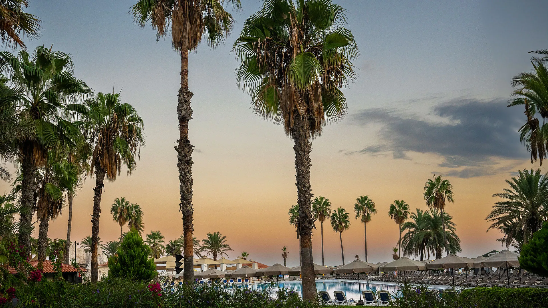 Adora Resort Hotel – 65