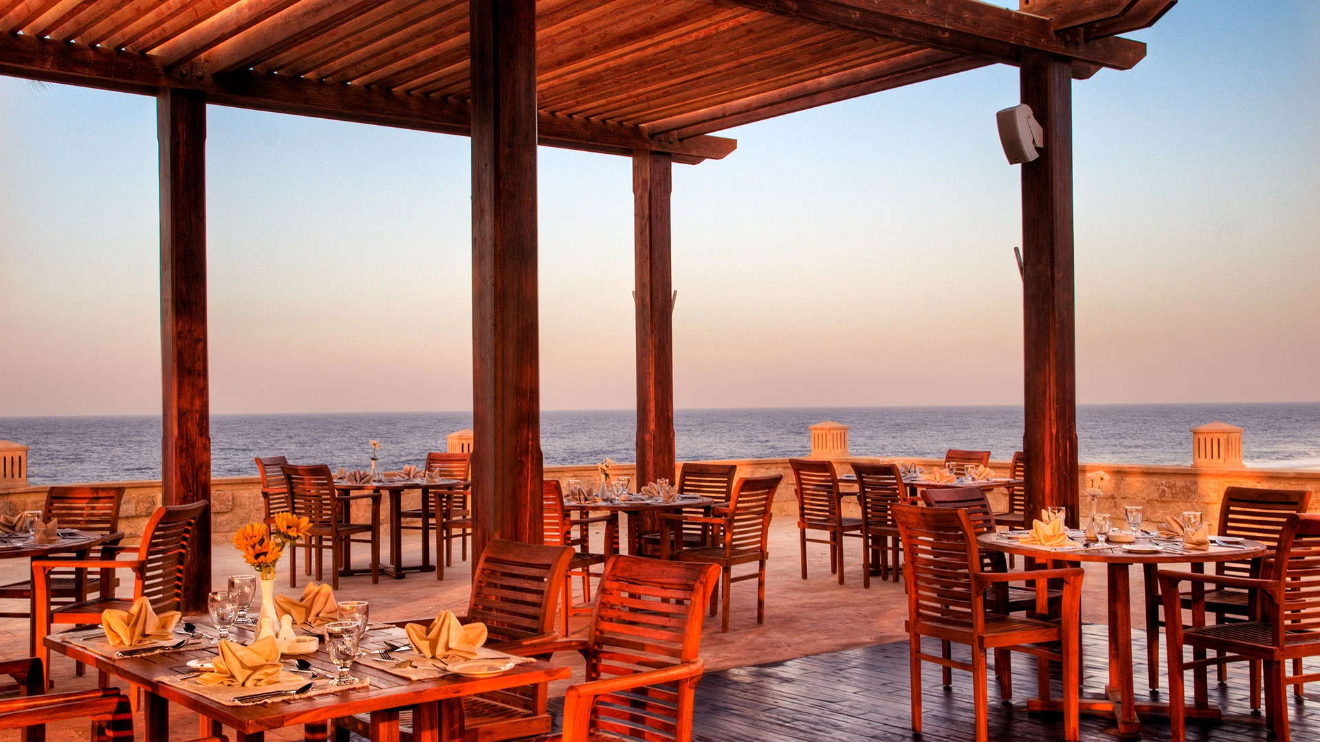 Jaz Grand Marsa Hotel – Марса Алам – Рай за гмуркачи и морски приключенци с полет от София - 2026 – 28