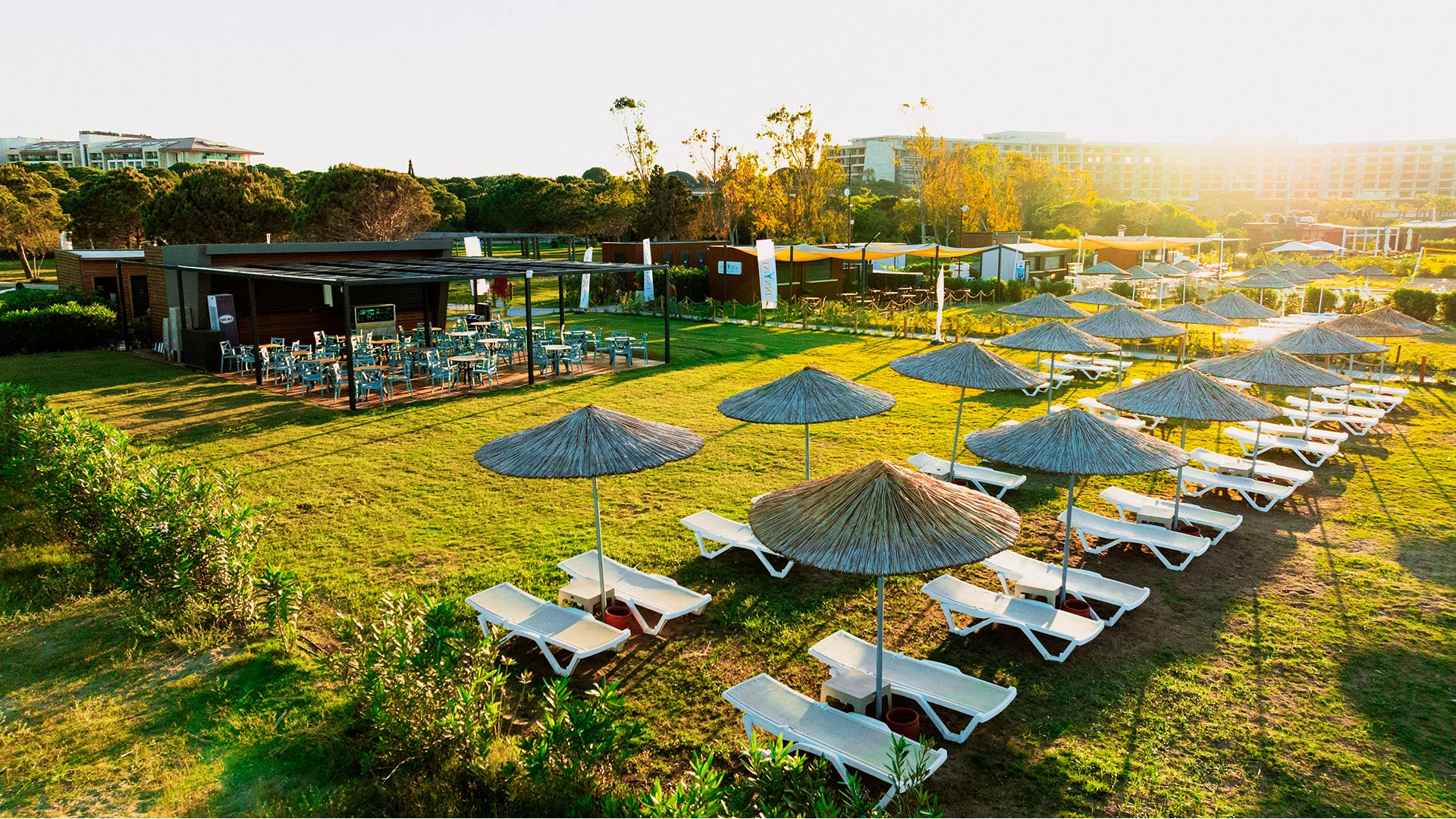 The X Belek – 26