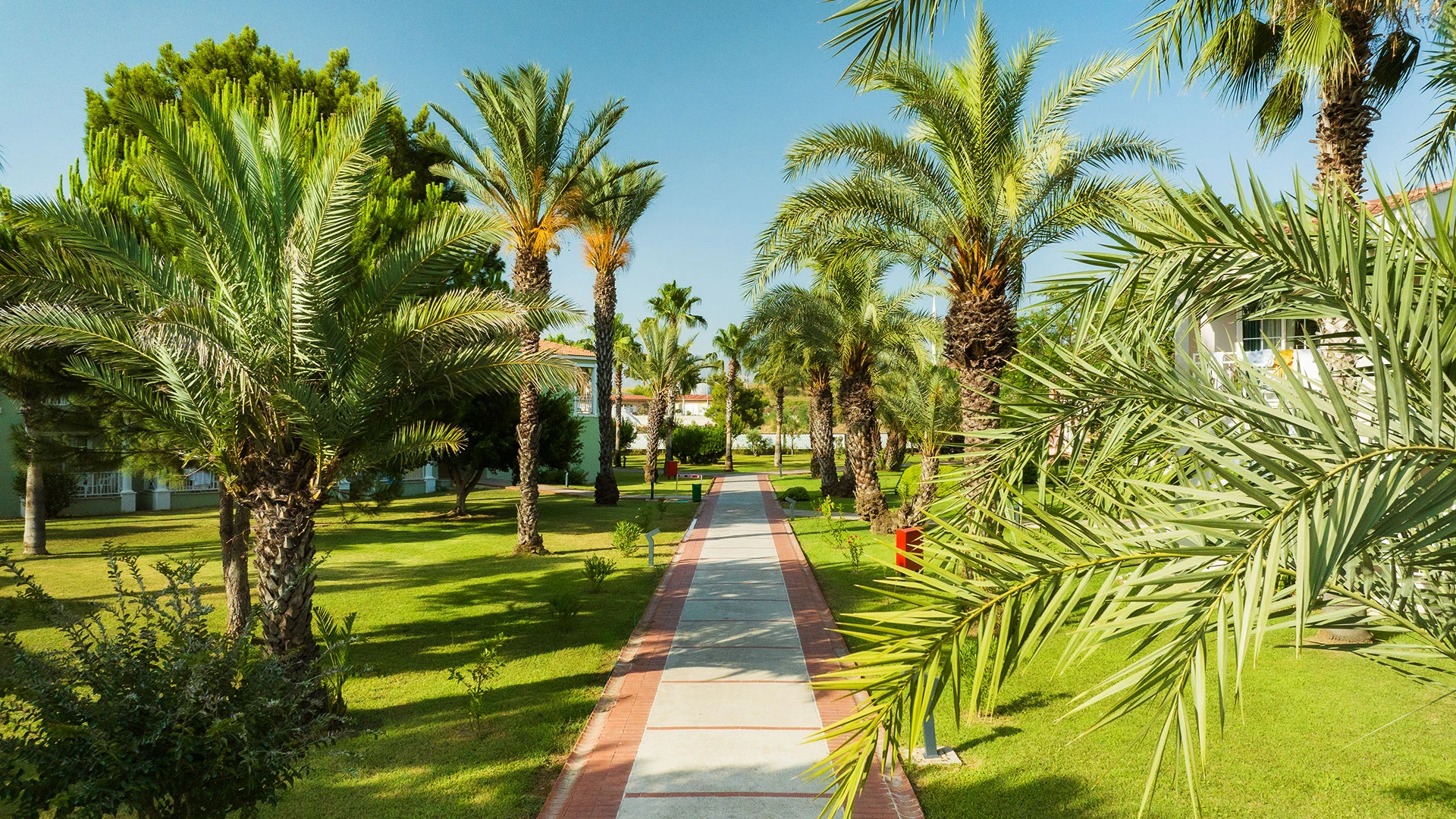 Asteria Family Resort Side (Ex Euphoria Palm) – 61