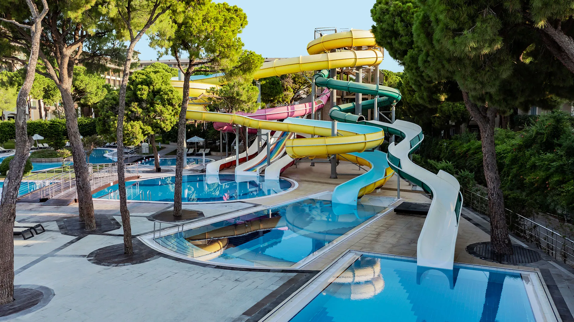 Papillon Ayscha – 76