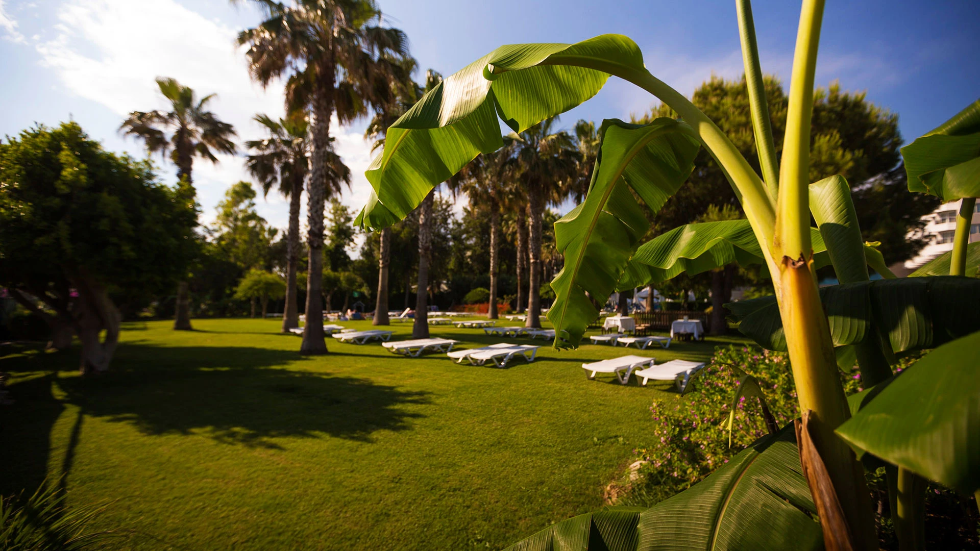 Terrace Beach Resort – 55