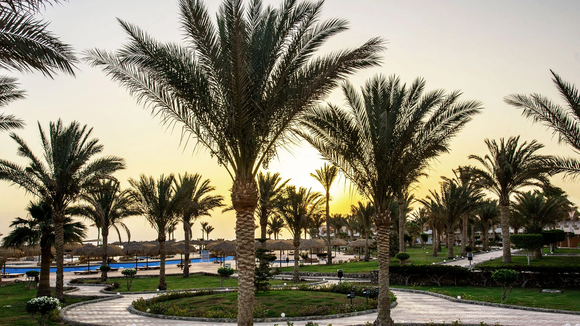 THE THREE CORNERS SEA BEACH RESORT Нова Година - Почивка в Хургада с чартър от София – 44